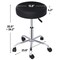 Adjustable Height Hydraulic Swivel Stool Spa Salon Chair Stool Cozy Thick Pad